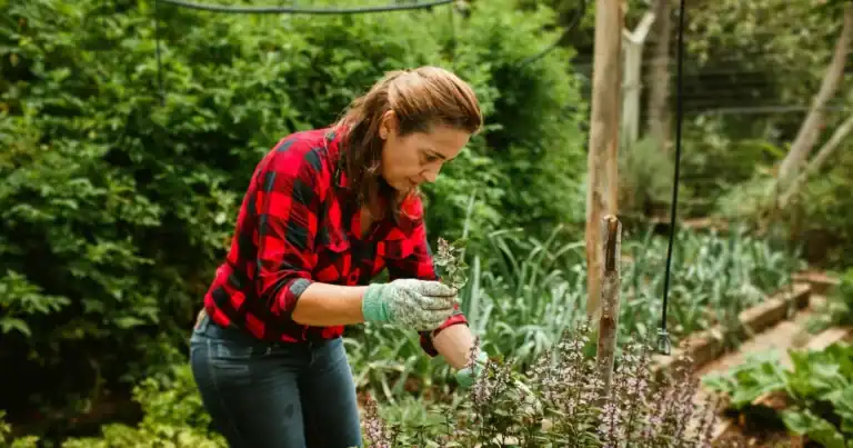 5 jenis pekerjaan yang berhubungan dengan alam