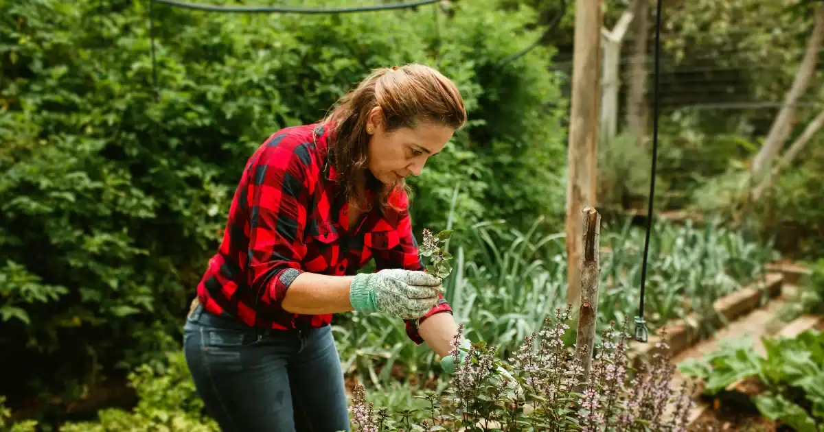 5 jenis pekerjaan yang berhubungan dengan alam