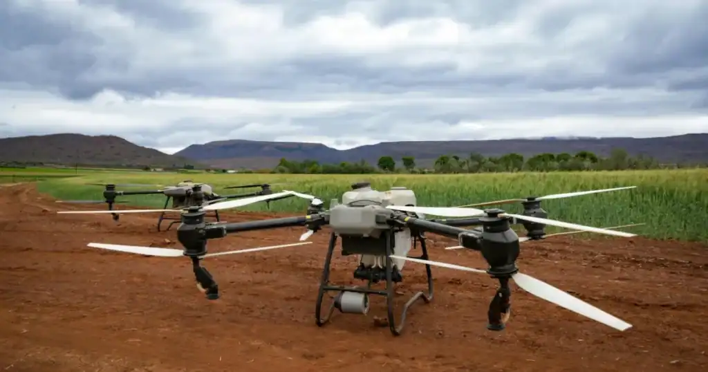 5 pekerjaan di bidang pertanian