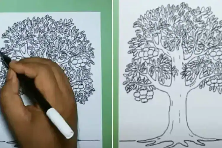 Tes Menggambar Pohon (Koch Baum Test)