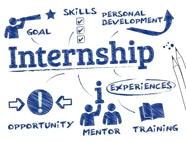 internship adalah