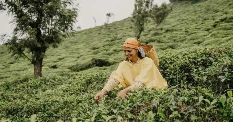 Pekerjaan di dataran tinggi