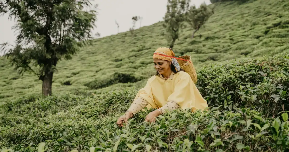 Pekerjaan di dataran tinggi