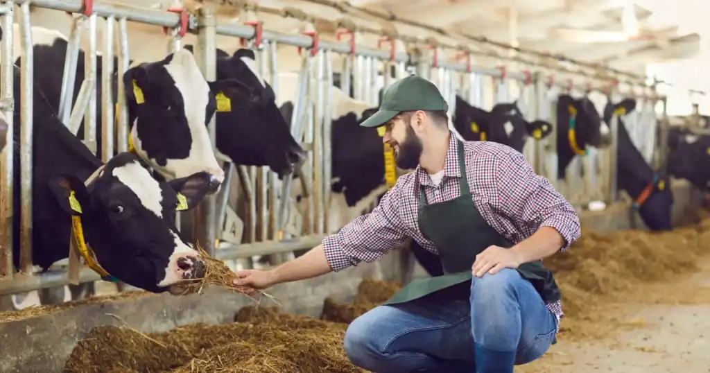 Pekerjaan di dataran tinggi