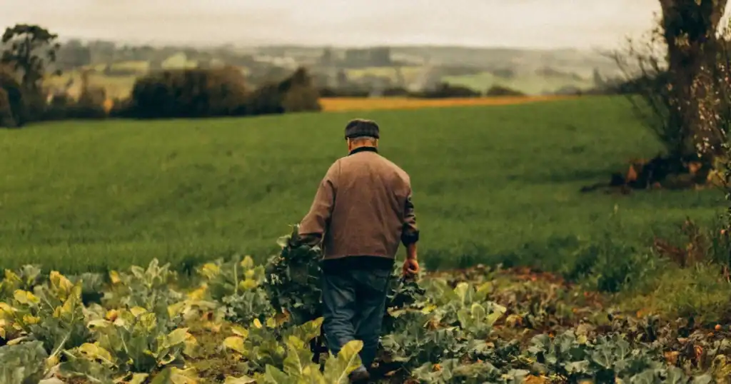 Pekerjaan di dataran rendah